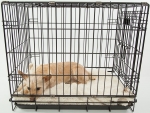 dog wire kennel